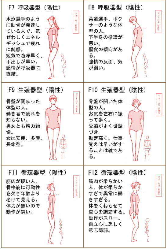 十二種体型 | 均整術とは | 日本姿勢保健均整師会